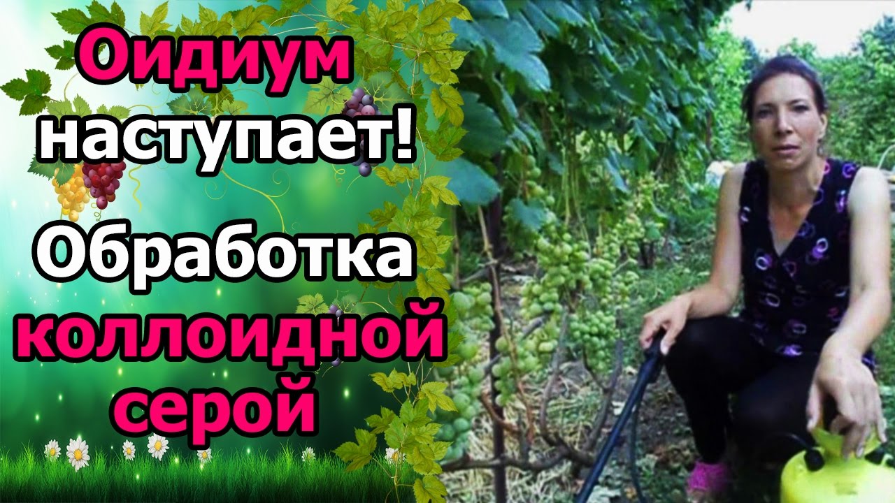 Нажмите, чтобы запустить видео