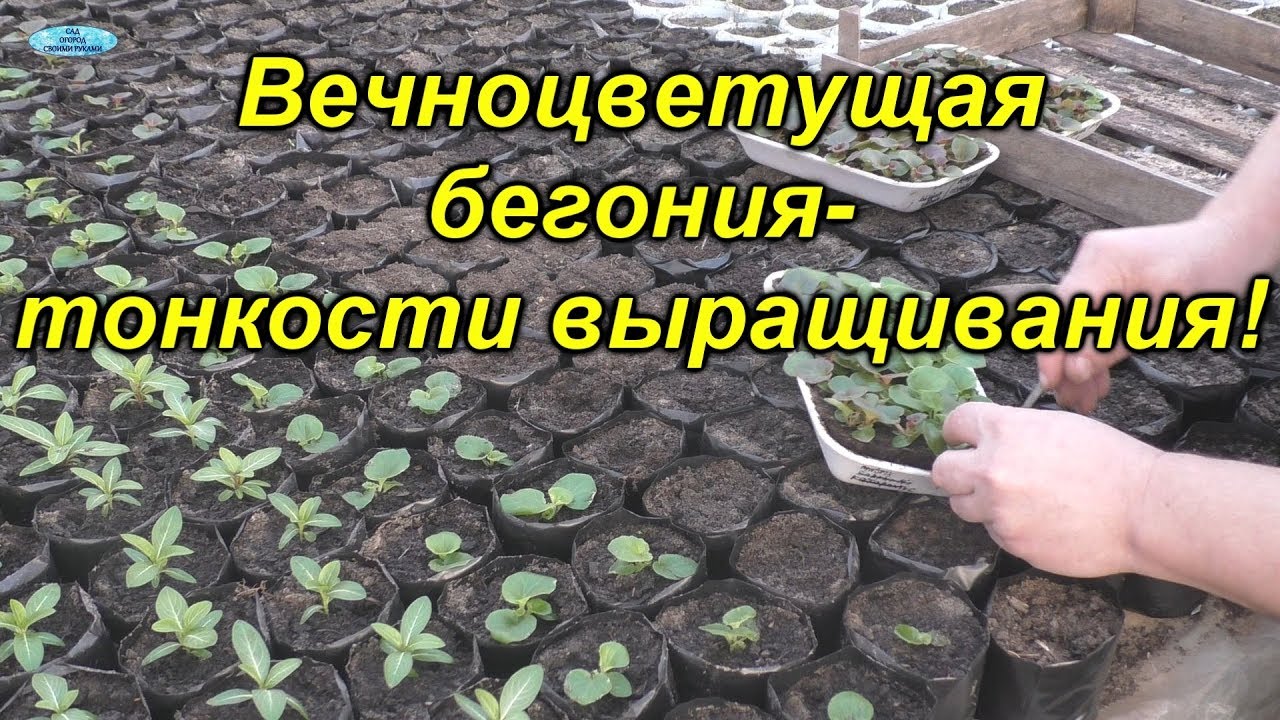 Нажмите, чтобы запустить видео