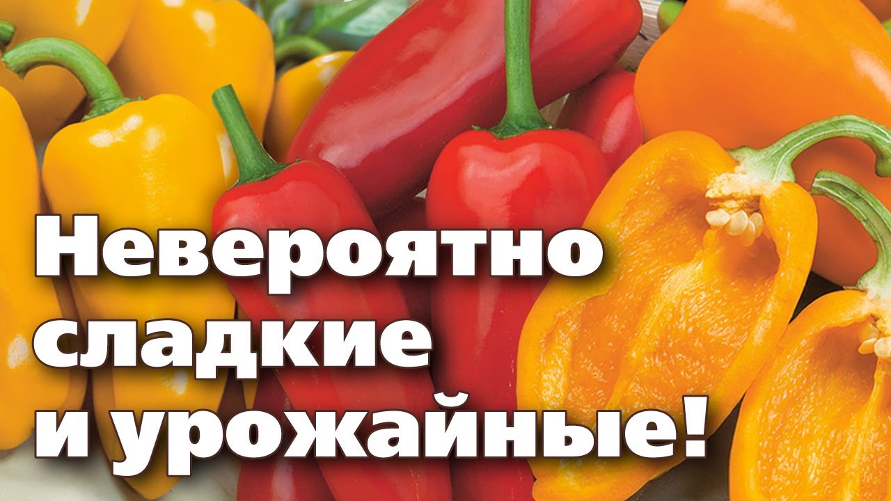 Нажмите, чтобы запустить видео