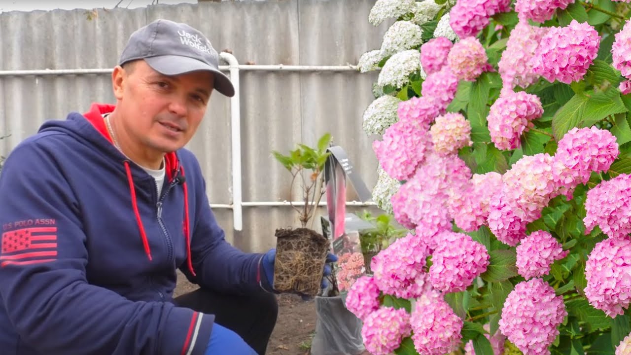 Нажмите, чтобы запустить видео