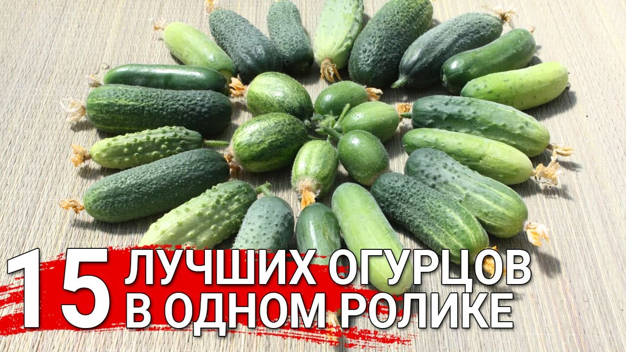 Нажмите, чтобы запустить видео