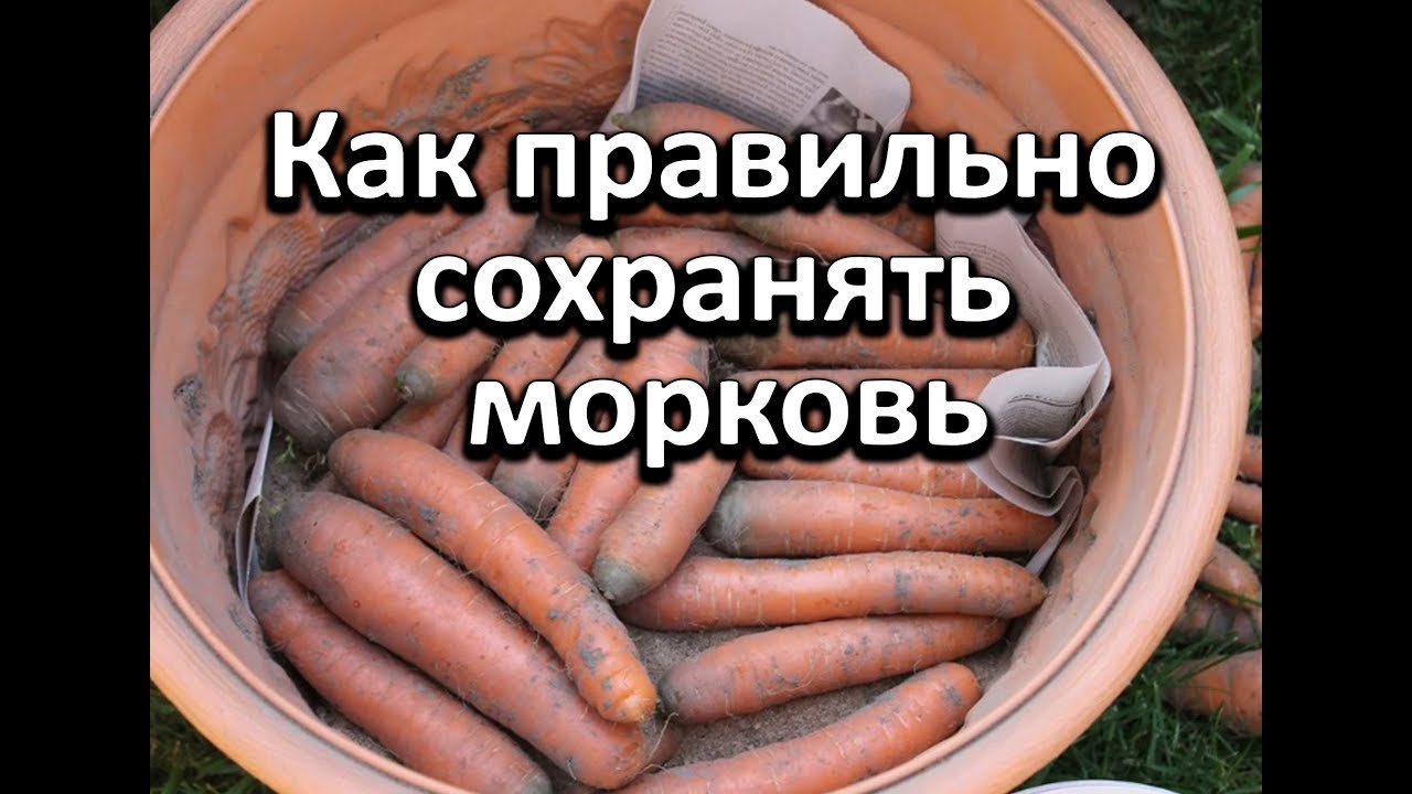 Нажмите, чтобы запустить видео