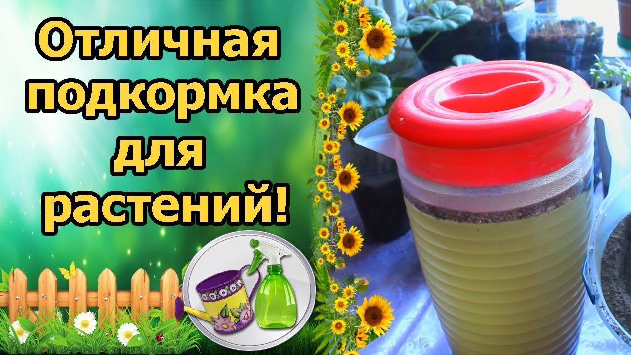 Нажмите, чтобы запустить видео