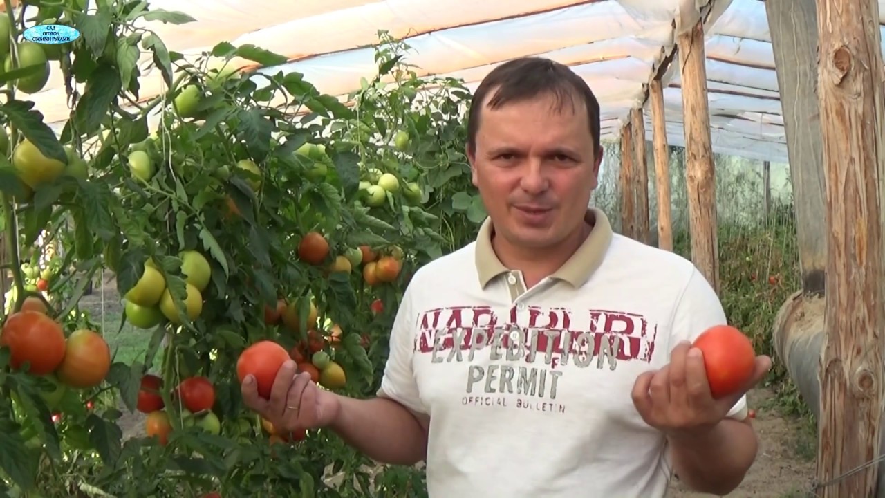 Нажмите, чтобы запустить видео