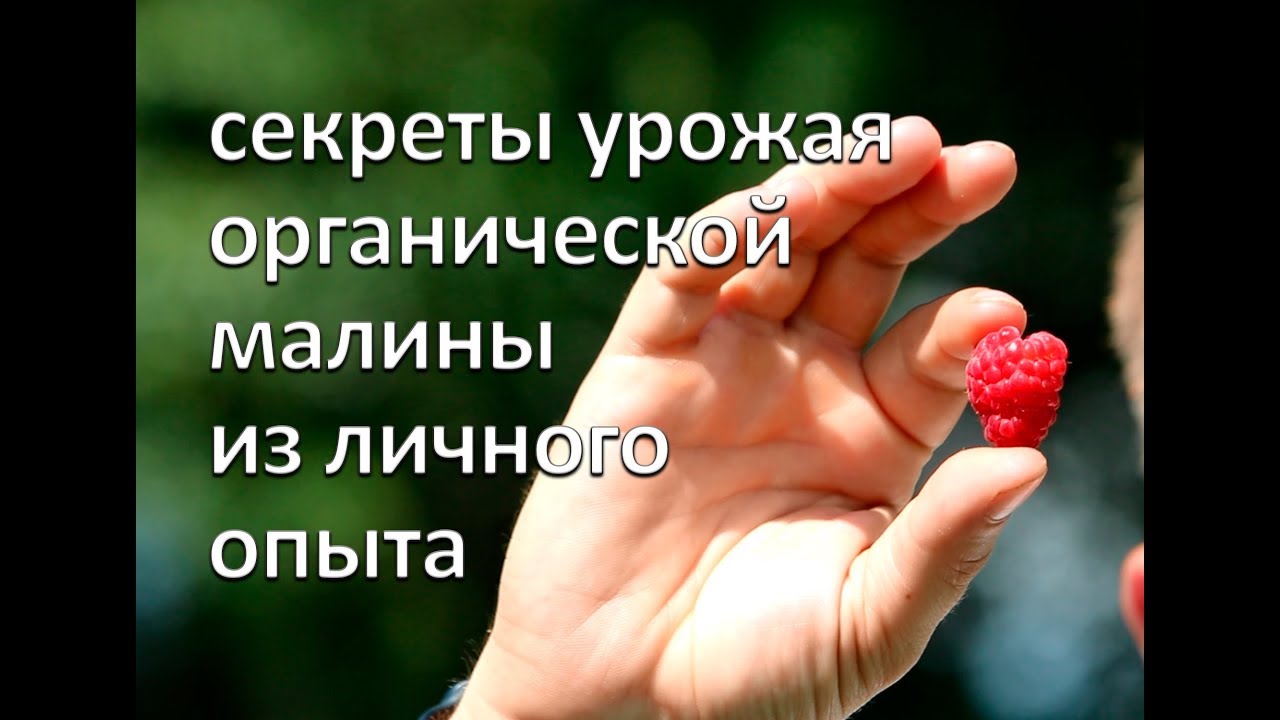 Нажмите, чтобы запустить видео