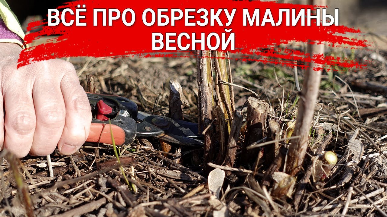 Нажмите, чтобы запустить видео