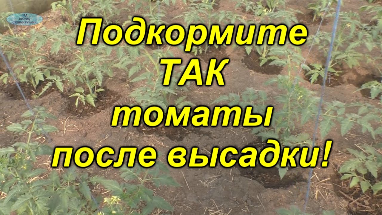 Нажмите, чтобы запустить видео