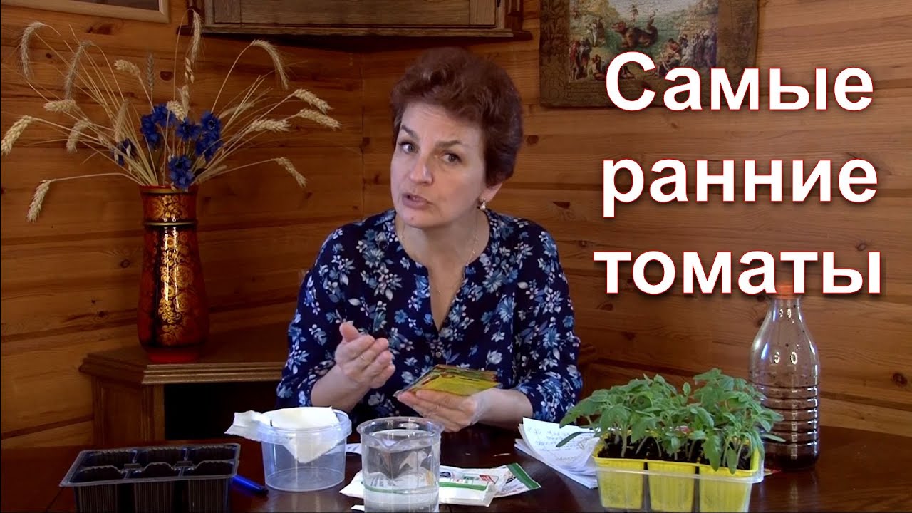 Нажмите, чтобы запустить видео
