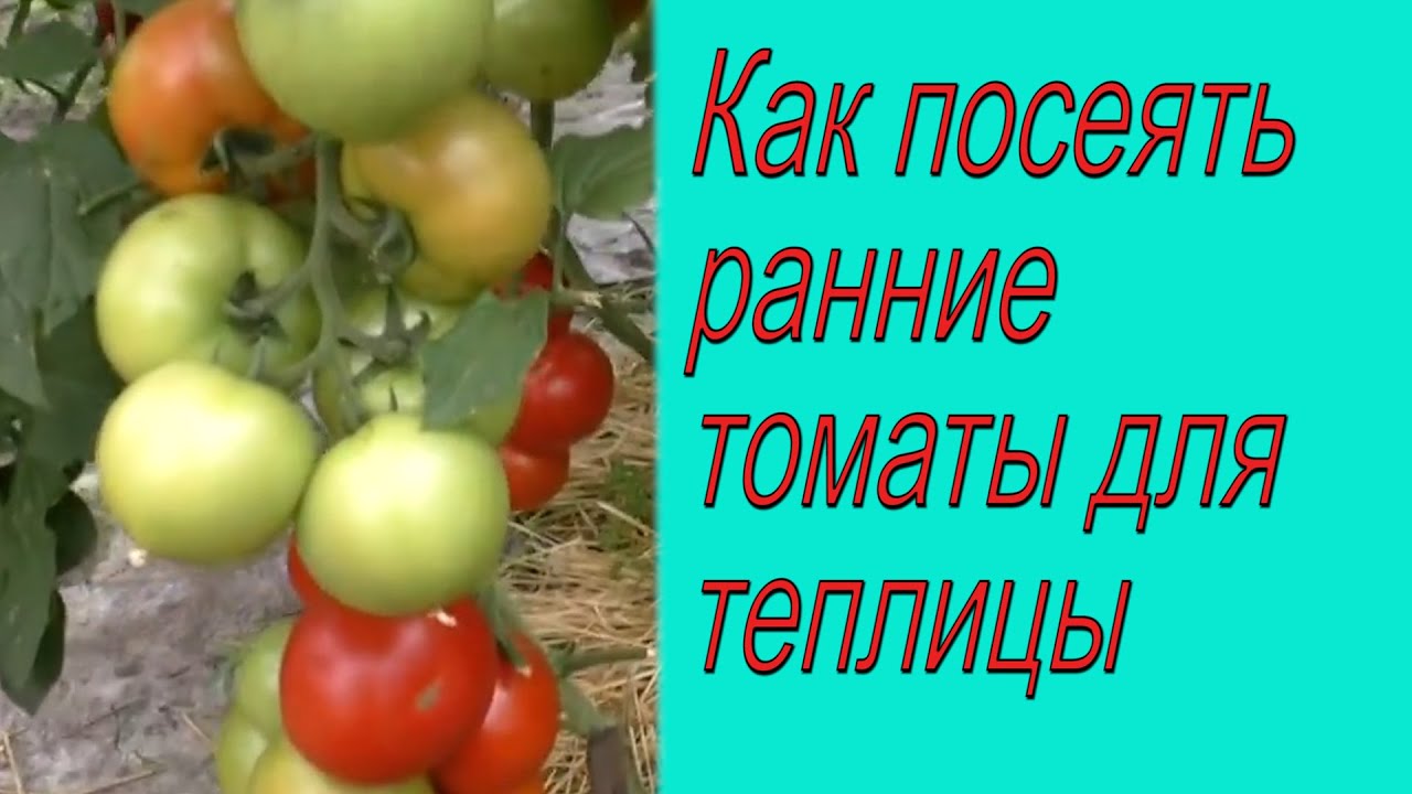 Нажмите, чтобы запустить видео