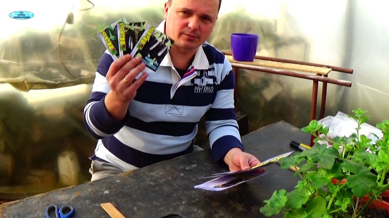Нажмите, чтобы запустить видео
