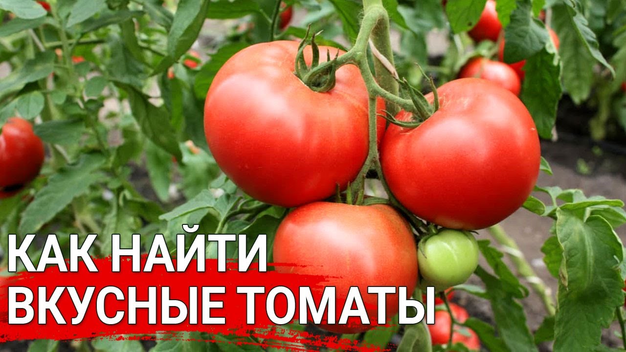 Нажмите, чтобы запустить видео