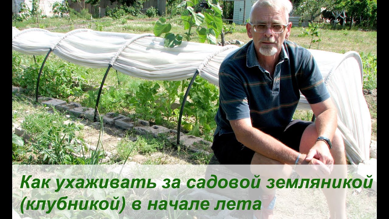 Нажмите, чтобы запустить видео