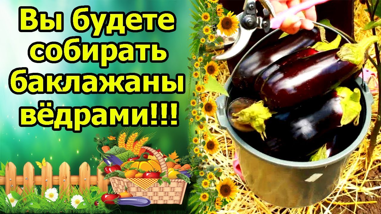 Нажмите, чтобы запустить видео