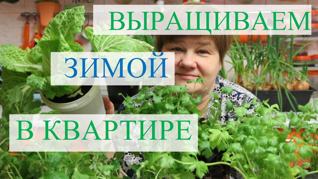 Нажмите, чтобы запустить видео