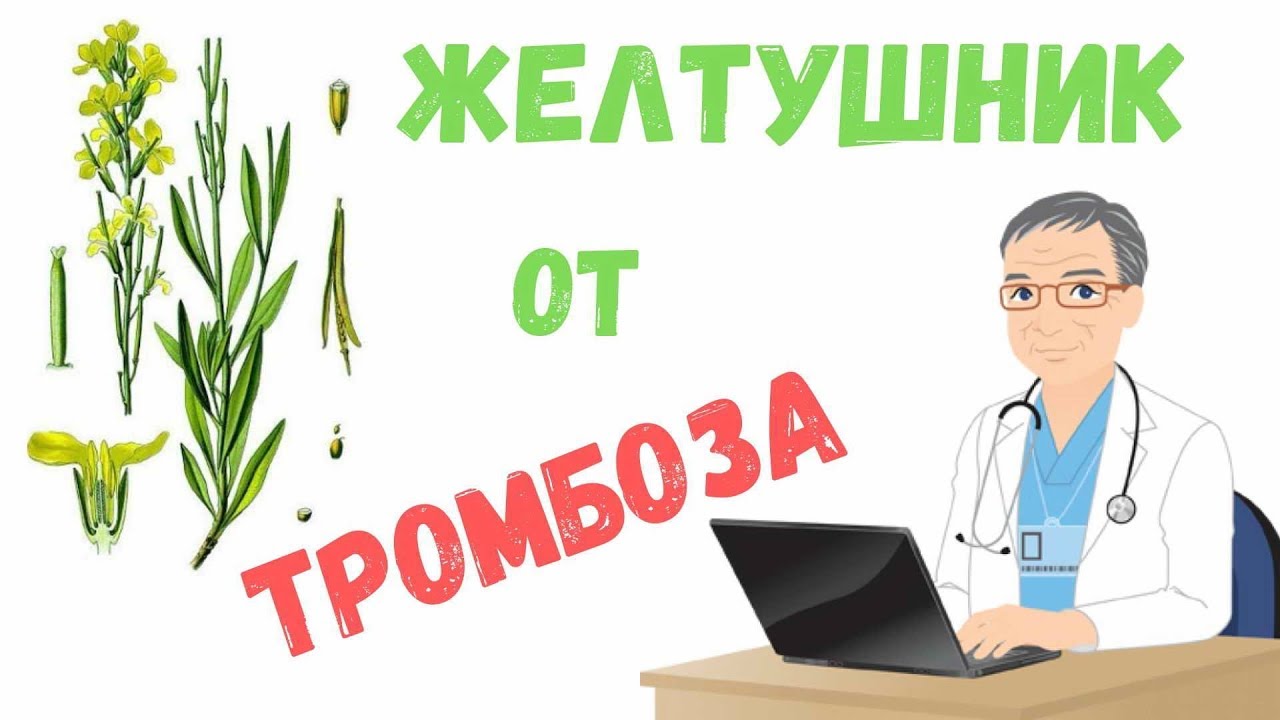 Нажмите, чтобы запустить видео