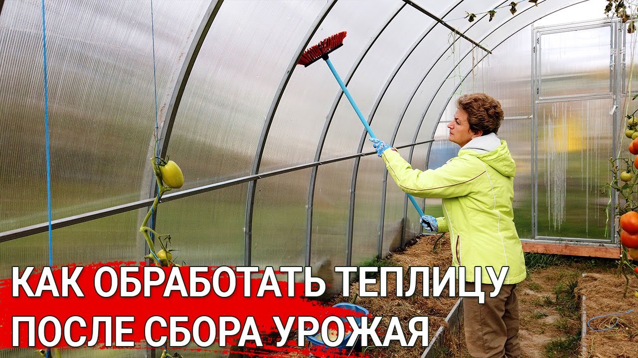 Нажмите, чтобы запустить видео