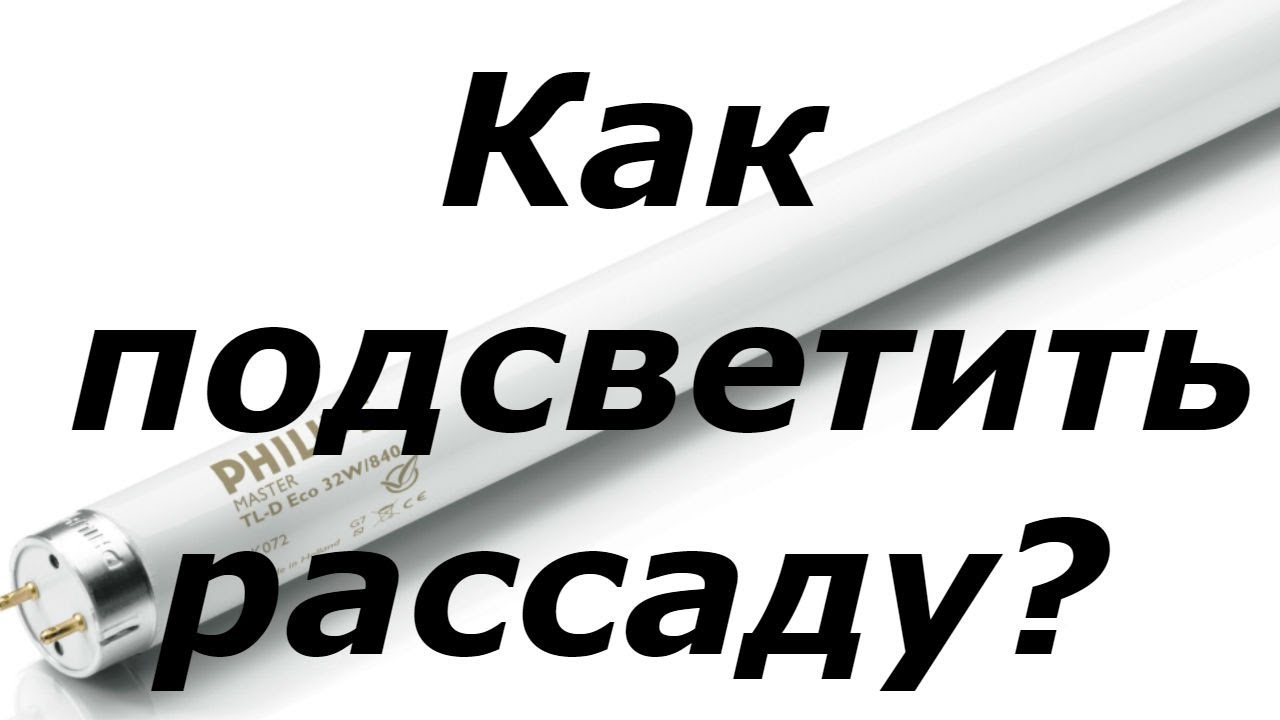Нажмите, чтобы запустить видео