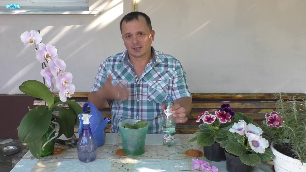 Нажмите, чтобы запустить видео