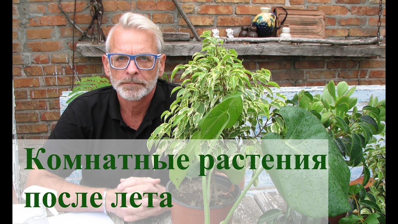 Нажмите, чтобы запустить видео