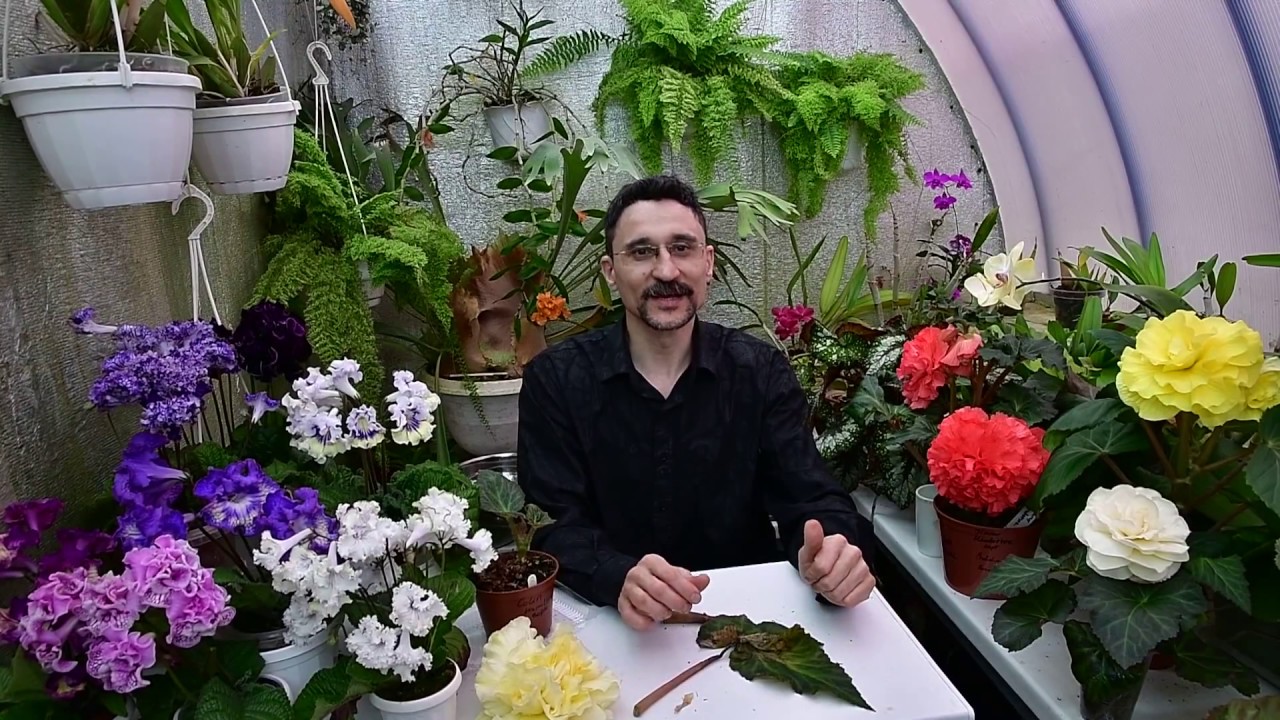 Нажмите, чтобы запустить видео