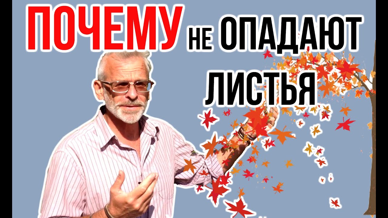 Нажмите, чтобы запустить видео