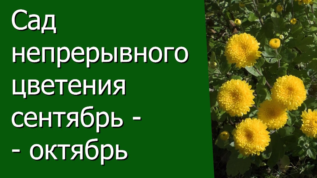Нажмите, чтобы запустить видео