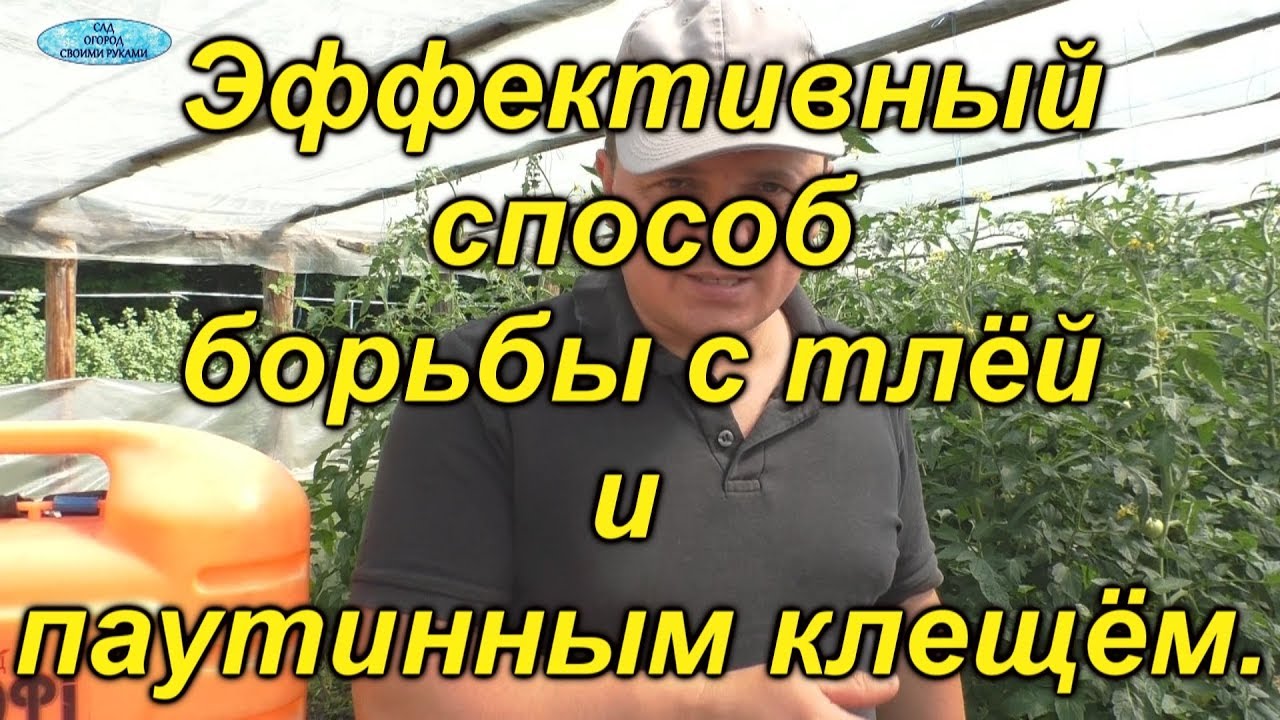 Нажмите, чтобы запустить видео