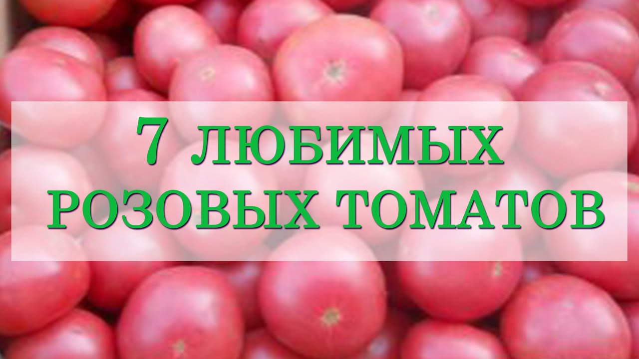 Нажмите, чтобы запустить видео