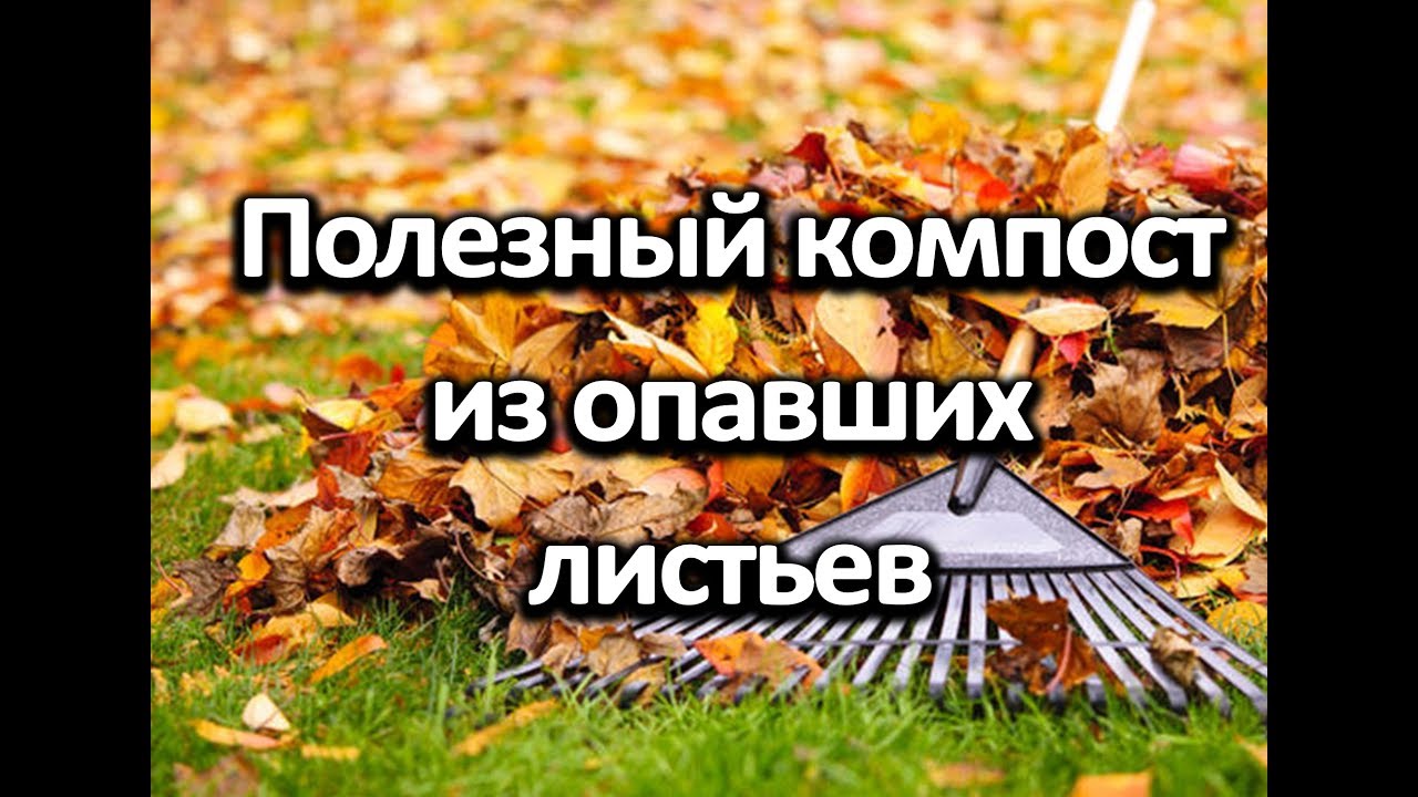 Нажмите, чтобы запустить видео