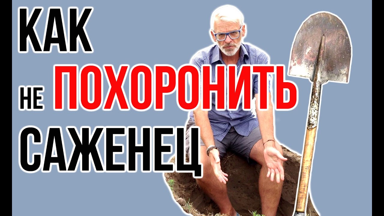 Нажмите, чтобы запустить видео