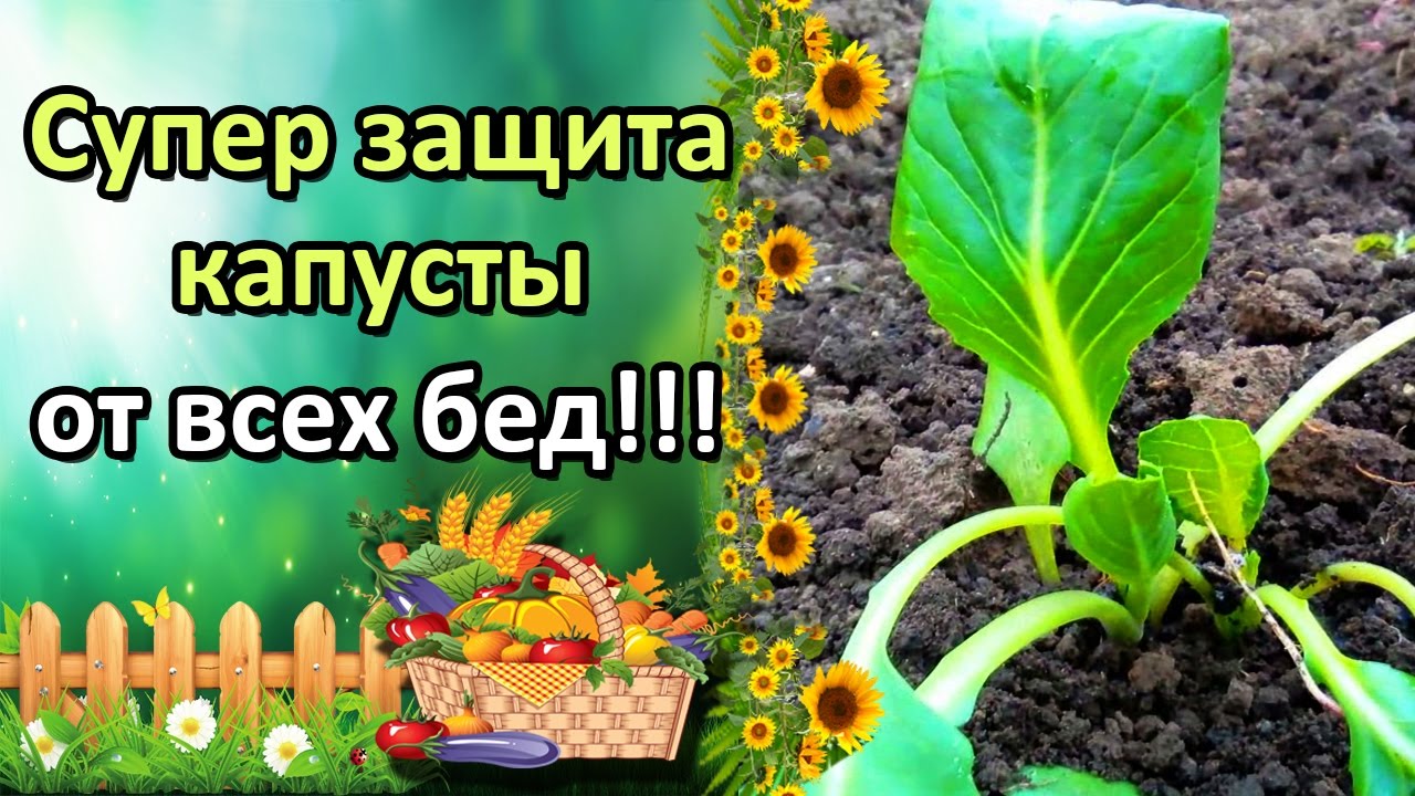Нажмите, чтобы запустить видео