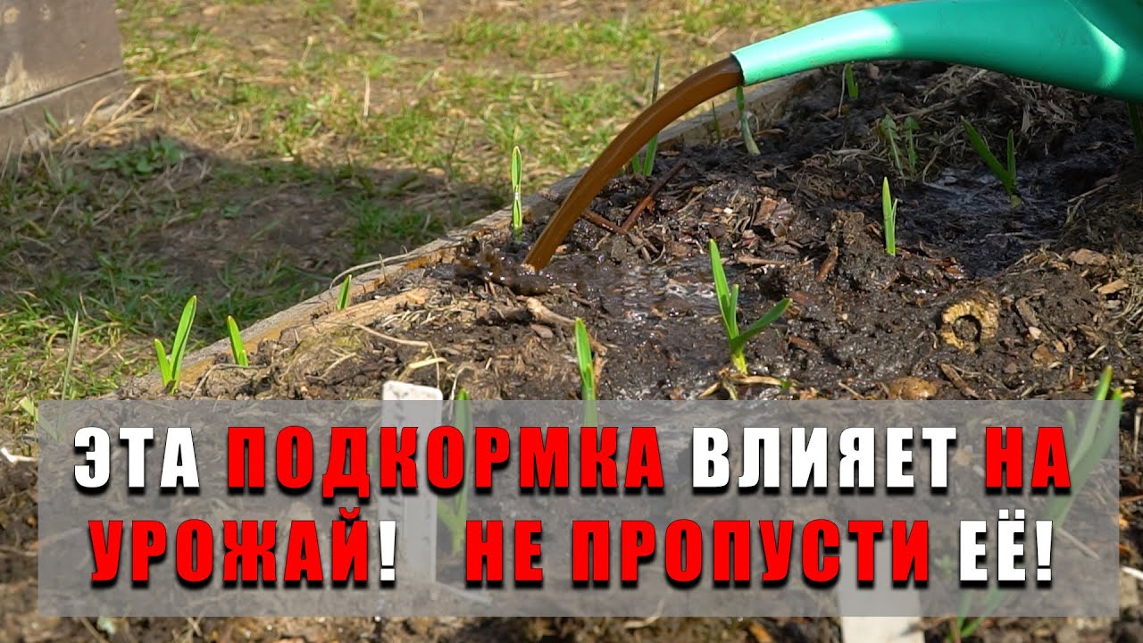 Нажмите, чтобы запустить видео