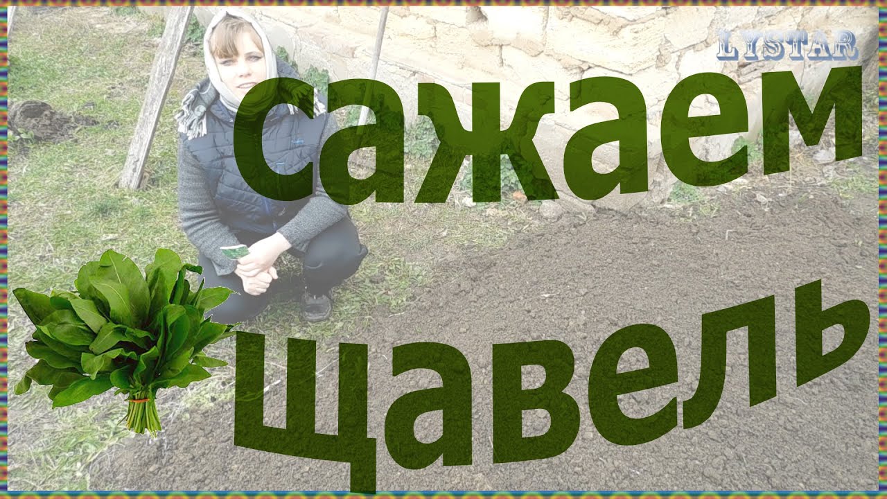 Нажмите, чтобы запустить видео