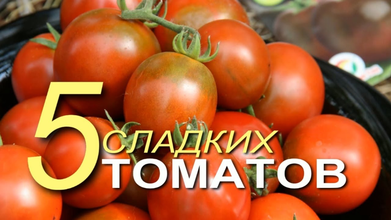 Нажмите, чтобы запустить видео