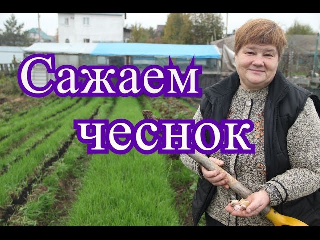 Нажмите, чтобы запустить видео