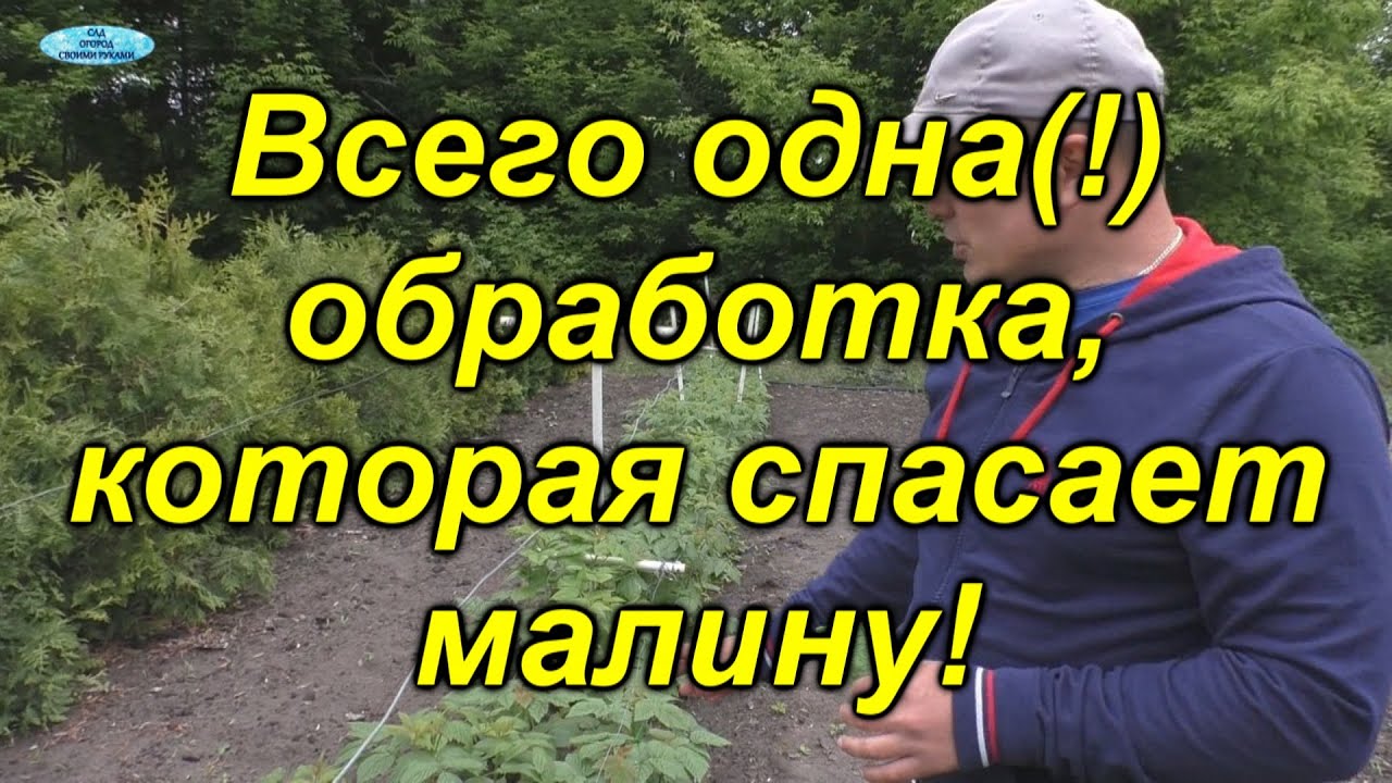 Нажмите, чтобы запустить видео