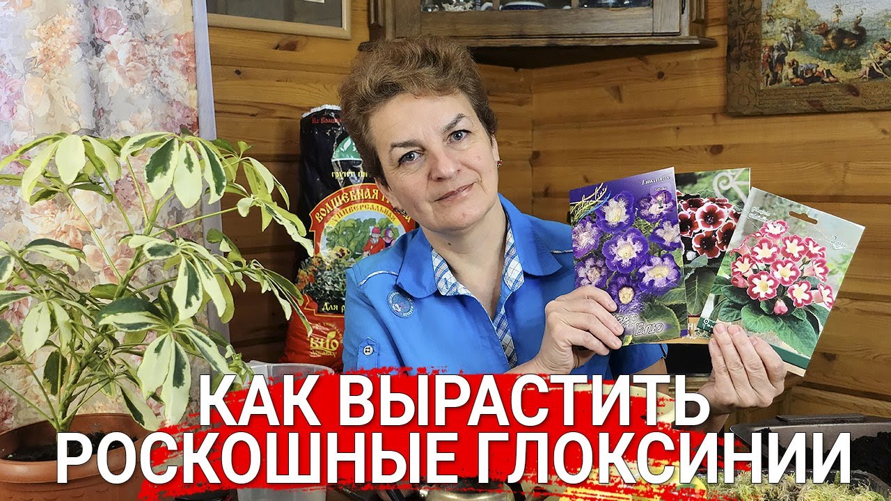 Нажмите, чтобы запустить видео
