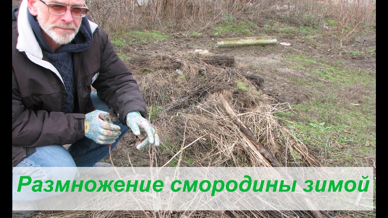 Нажмите, чтобы запустить видео