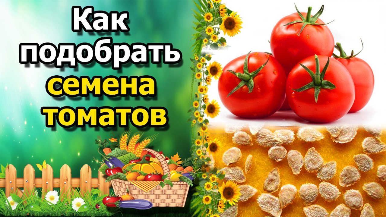 Нажмите, чтобы запустить видео