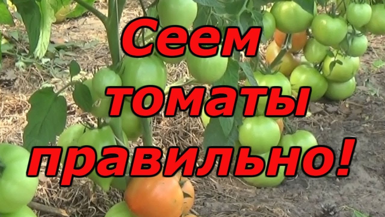 Нажмите, чтобы запустить видео