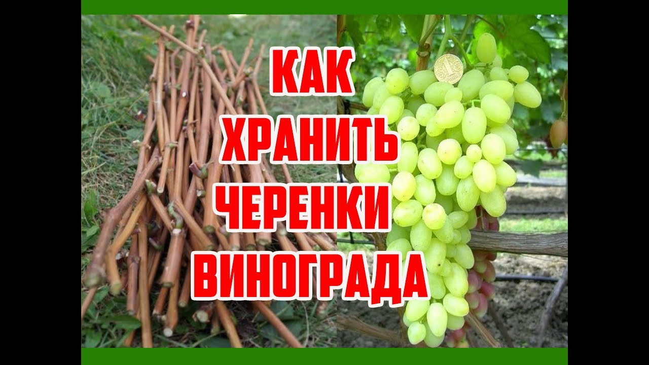 Нажмите, чтобы запустить видео