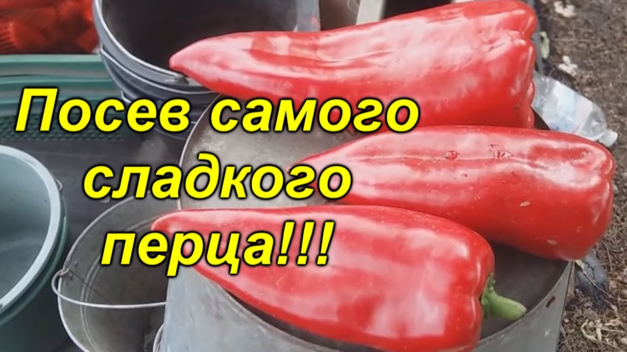 Нажмите, чтобы запустить видео