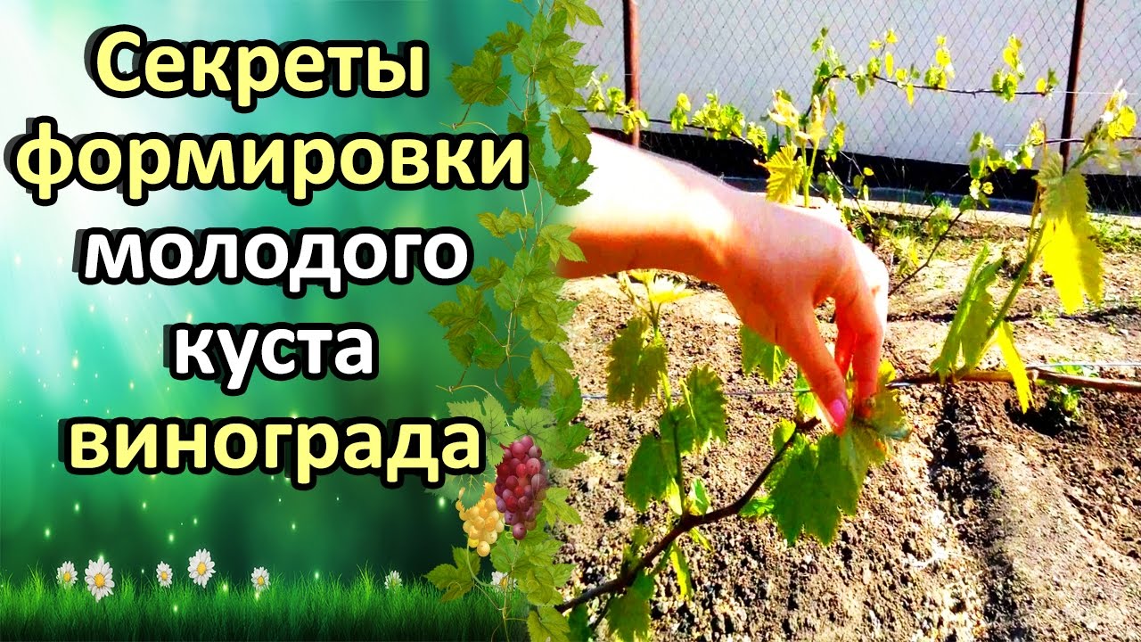 Нажмите, чтобы запустить видео