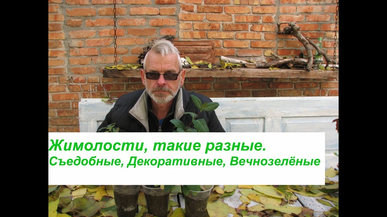 Нажмите, чтобы запустить видео
