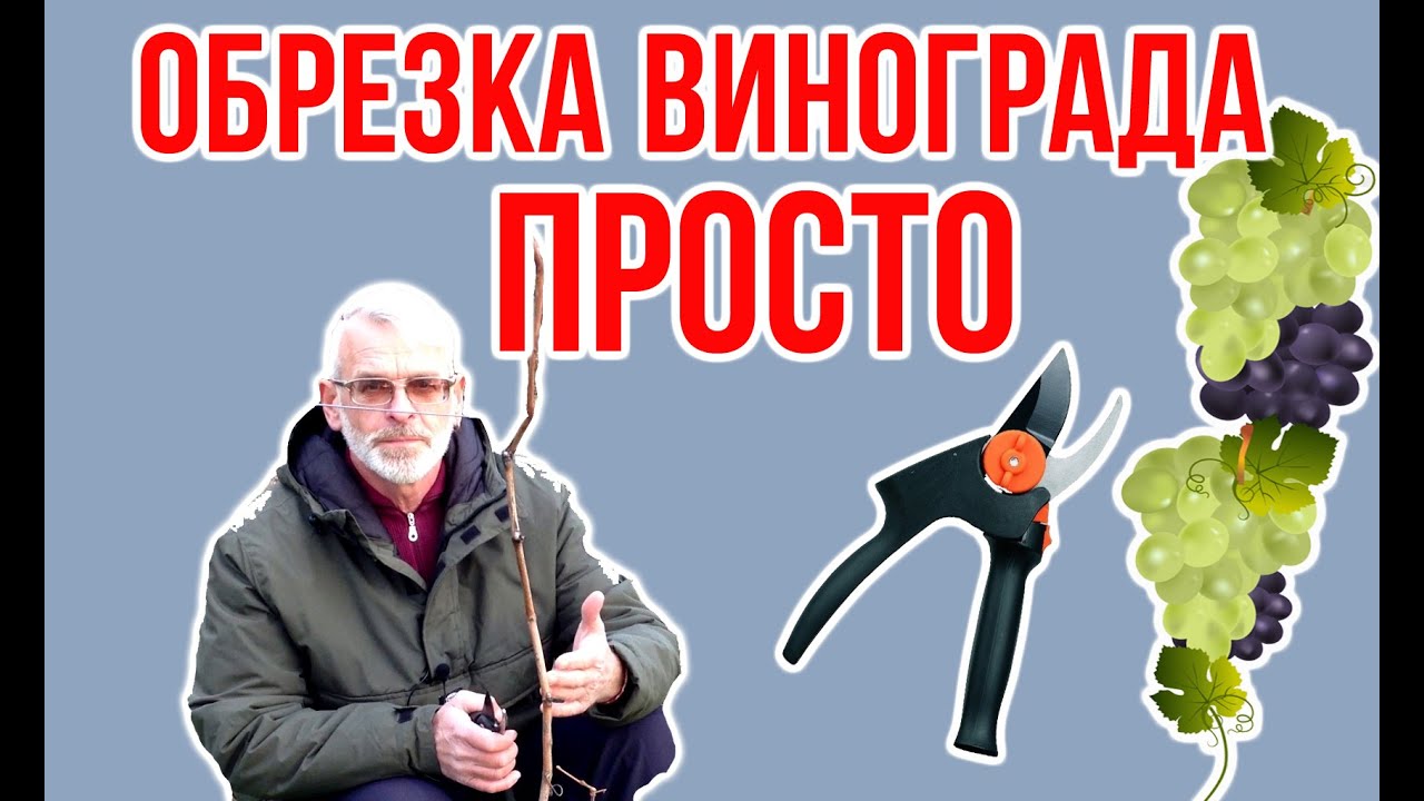 Нажмите, чтобы запустить видео
