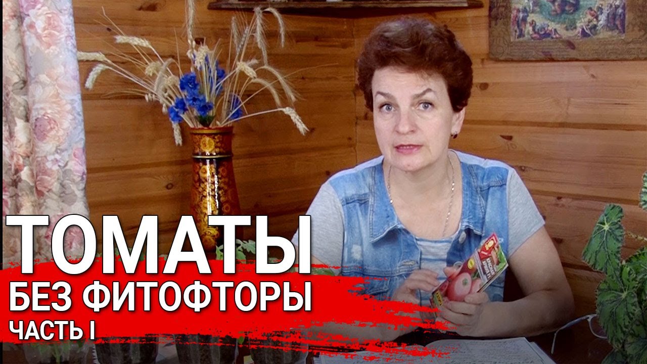 Нажмите, чтобы запустить видео