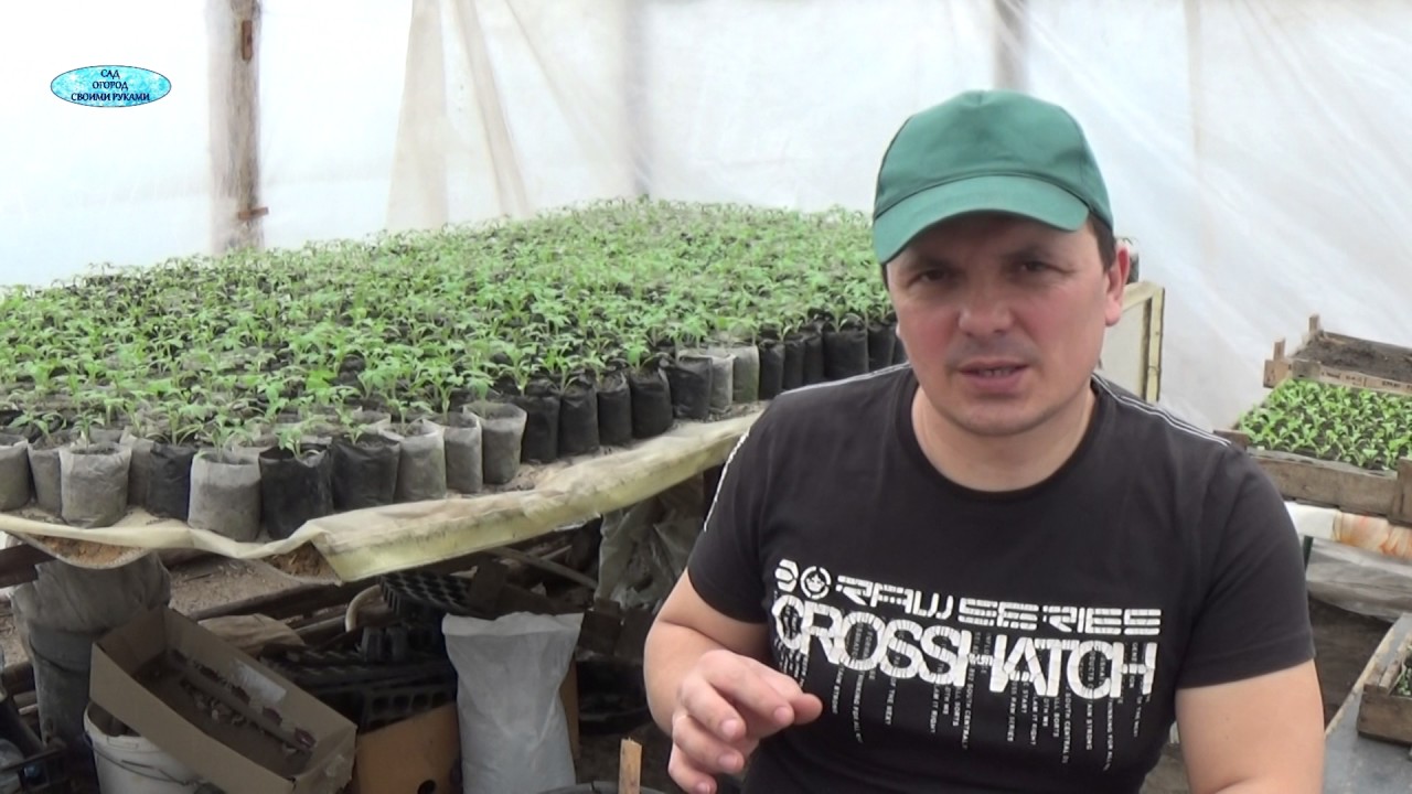 Нажмите, чтобы запустить видео