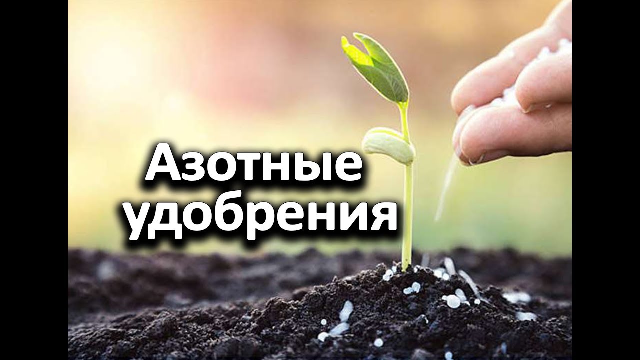 Нажмите, чтобы запустить видео