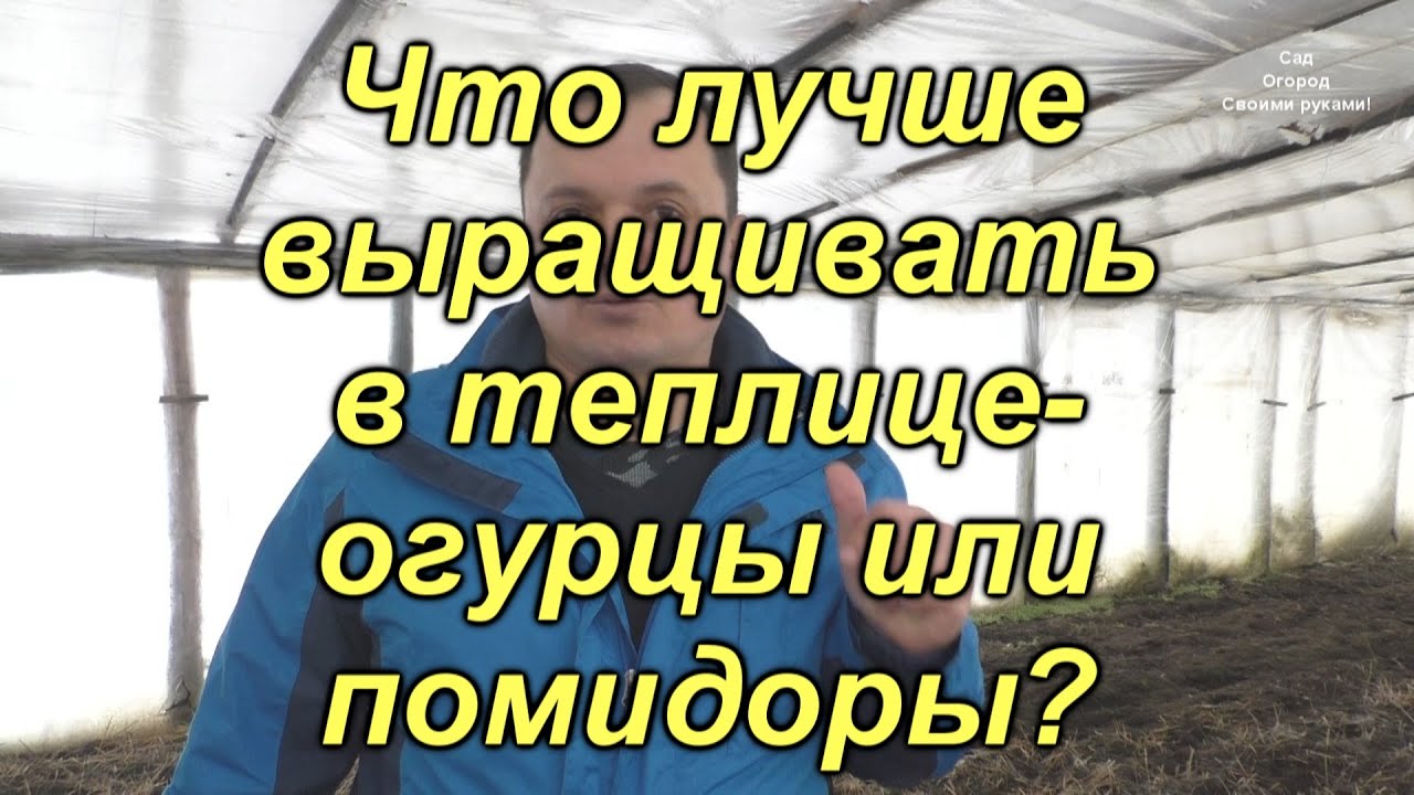 Нажмите, чтобы запустить видео