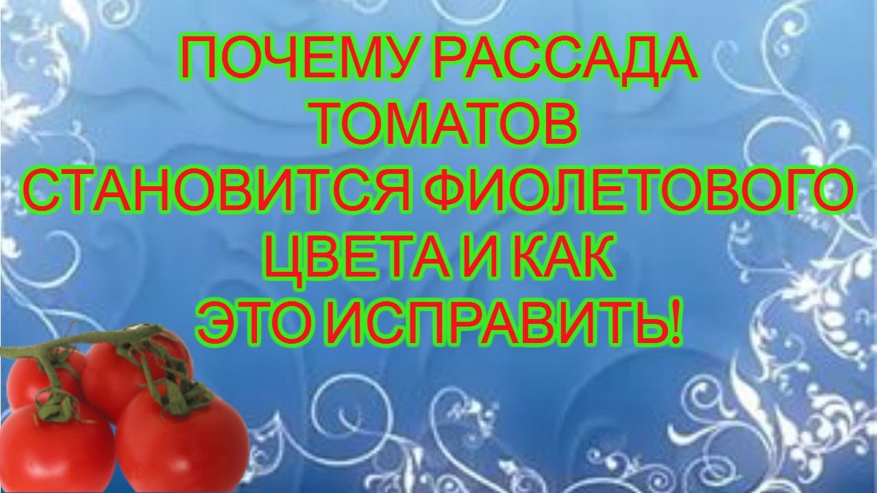 Нажмите, чтобы запустить видео